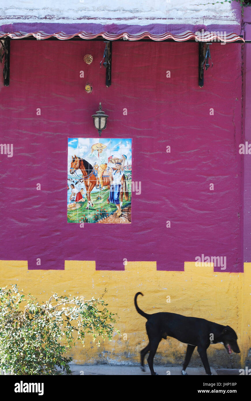 Cane nero passa a pareti dipinte con un messicano murale in piastrelle, El tuito, Jalisco, Messico Foto Stock