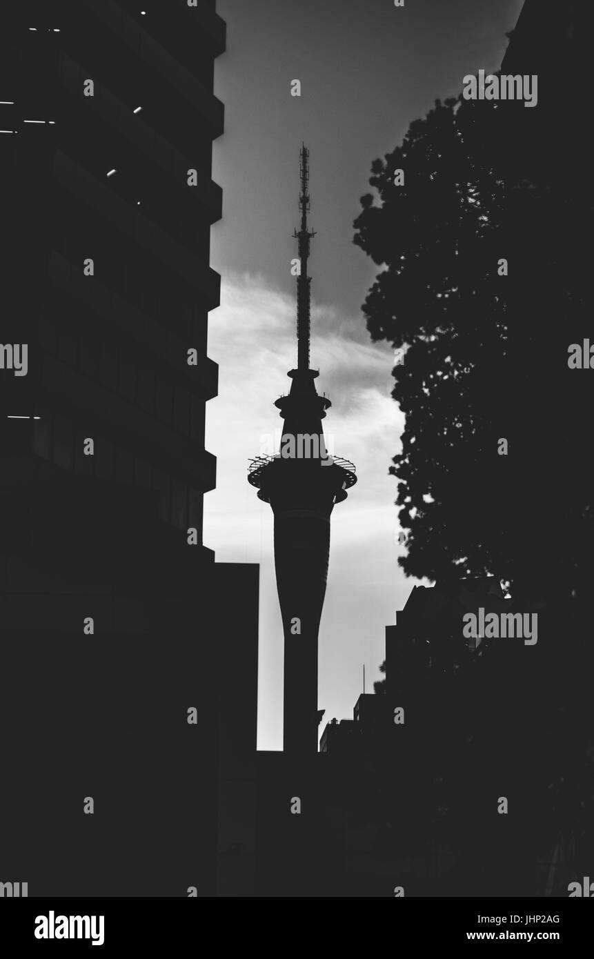La Sky Tower di Auckland, Nuova Zelanda Foto Stock