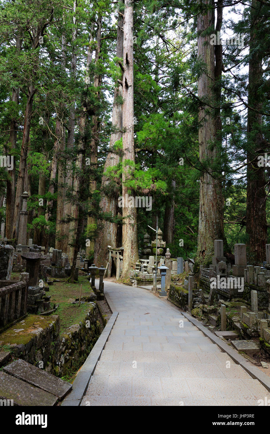 Un percorso attraverso la Okunoin antico cimitero buddista in Koyasan, Giappone, Asia Foto Stock