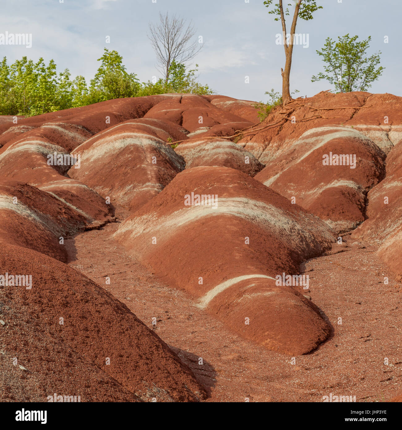 I Cheltenham Badlands a Caledon in estate, Ontion, Canada Foto Stock