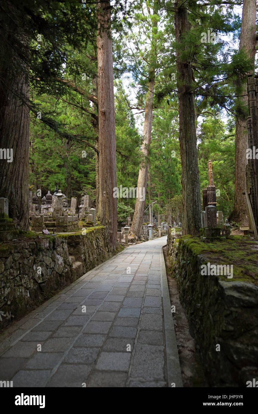 Un percorso attraverso la Okunoin antico cimitero buddista in Koyasan, Giappone, Asia Foto Stock