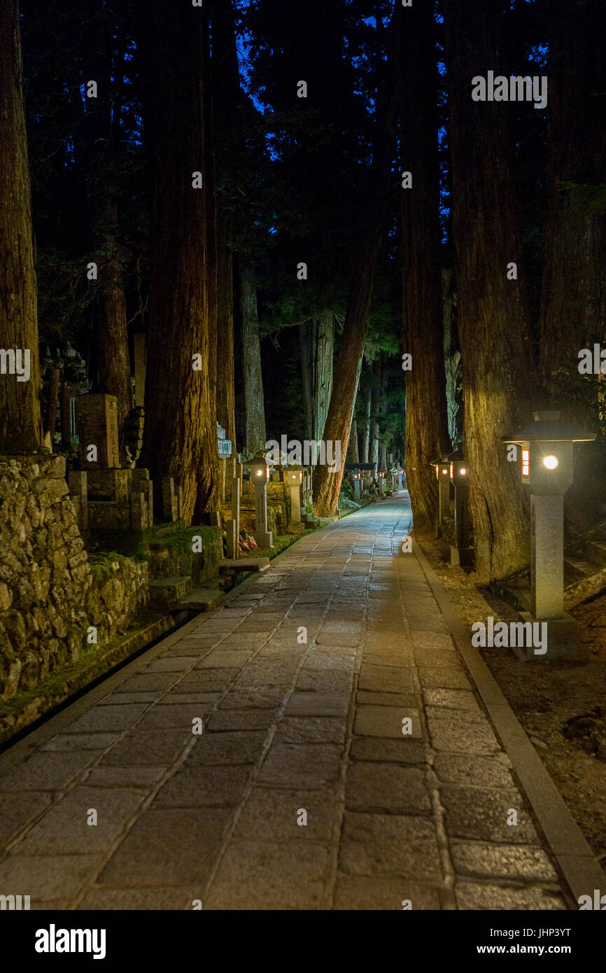 Un percorso attraverso la Okunoin durante la notte in un antico cimitero buddista in Koyasan, Giappone. Foto Stock
