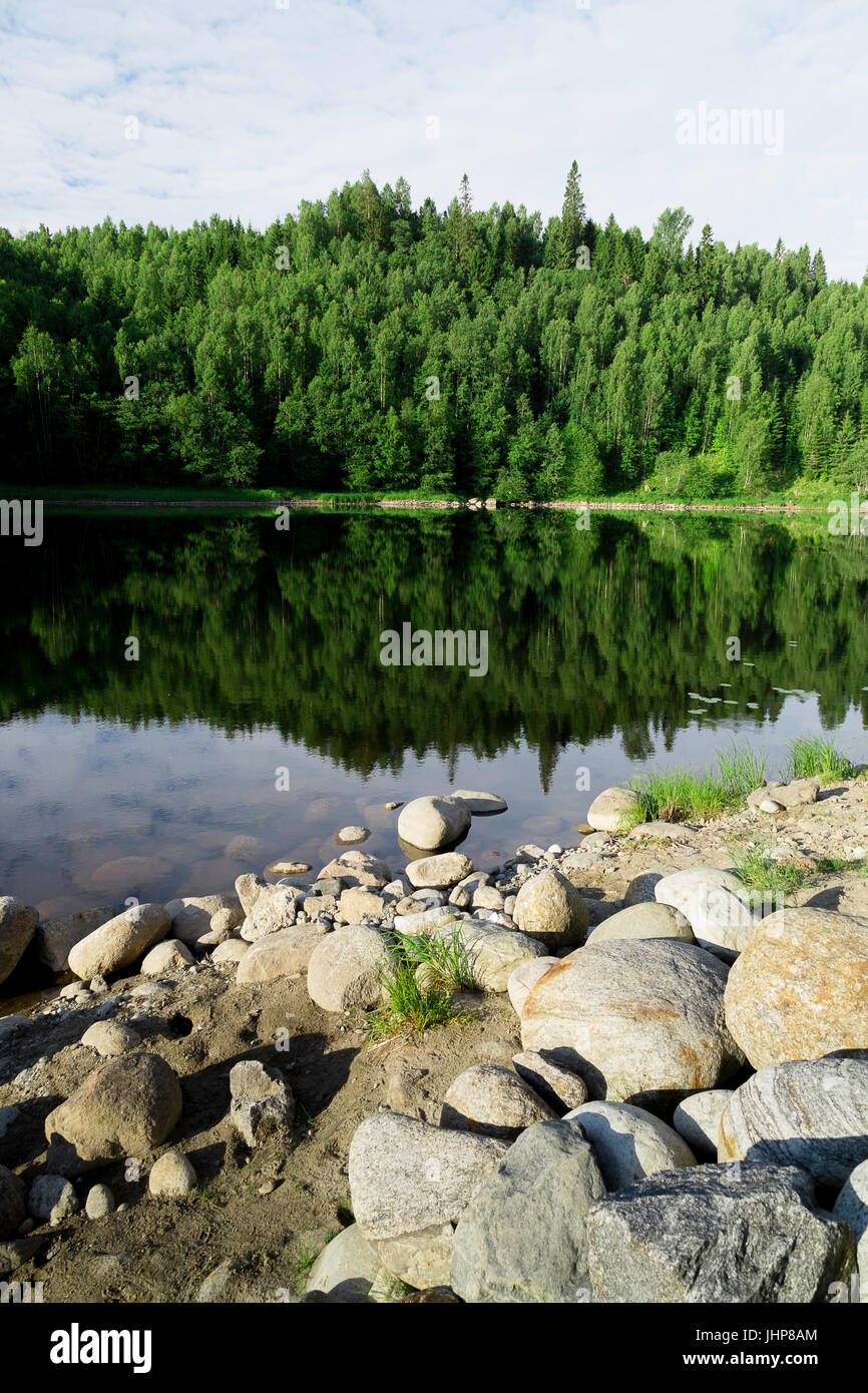 Le latifoglie riflettendo in acqua, Svezia. Foto Stock