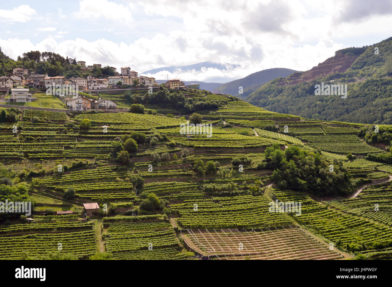 Scatti di vigneti al di sotto di un villaggio nelle Dolomiti in Italia Foto Stock