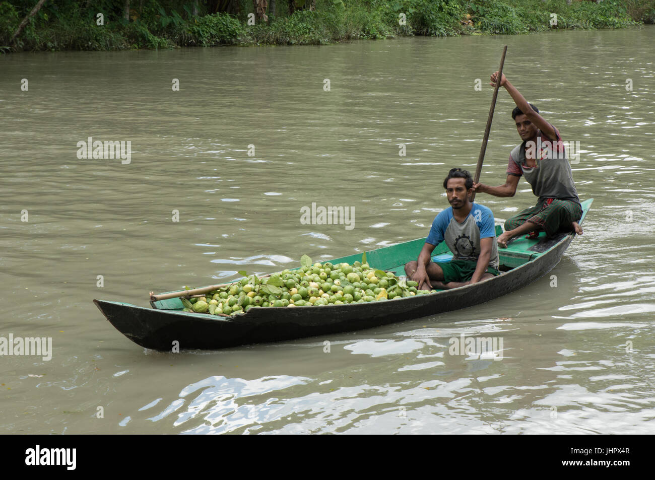 Tra alcuni dei più affascinanti cose nella regione sudoccidentale del Bangladesh è la bellissima floating guaiava mercato di Swarupkathi di Pirojpur. E tutto questo è cominciato 125 anni fa quando uno Purno Mondal da Nesarabad upazila riportato alcuni guaiava semi da Goya e li piantate nel suo villaggio home. Guaiava è stato un hit culinario con la località e la sua fama si è gradualmente diffusa in tutto il paese. (Foto di Azim Khan Ronnie / Pacific Stampa) Foto Stock