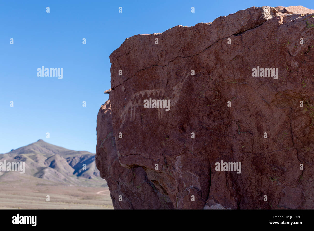 Antiche incisioni rupestri sulle rocce al Yerbas Buenas nel deserto di Atacama nel Cile Foto Stock