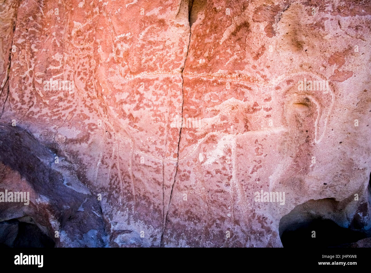 Antiche incisioni rupestri sulle rocce al Yerbas Buenas nel deserto di Atacama nel Cile Foto Stock