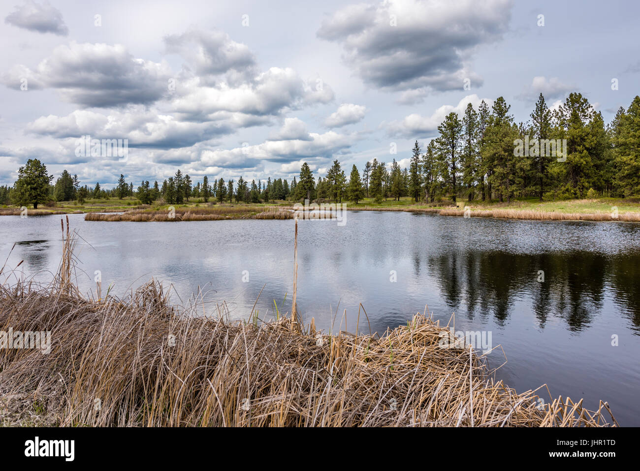 Turnbull National Wildlife Refuge sotto le nuvole. Foto Stock