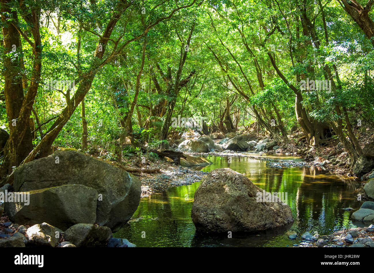 Piccolo fiume di montagna chiamato Maria con rocce e sfondo verde immagine presa in Panama Foto Stock
