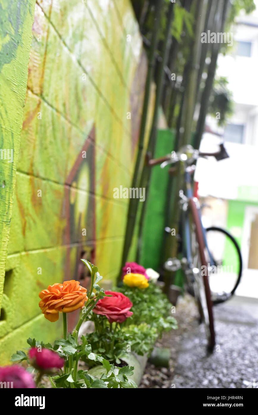 Le Rose in un vicolo a Tokyo in Giappone Foto Stock
