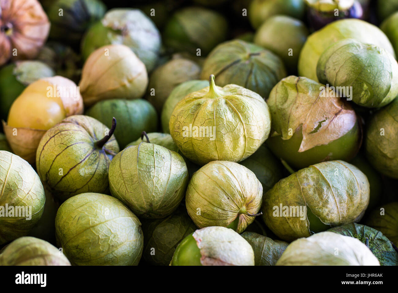 Nuovo mercato agricolo il California Tomatillos Foto Stock