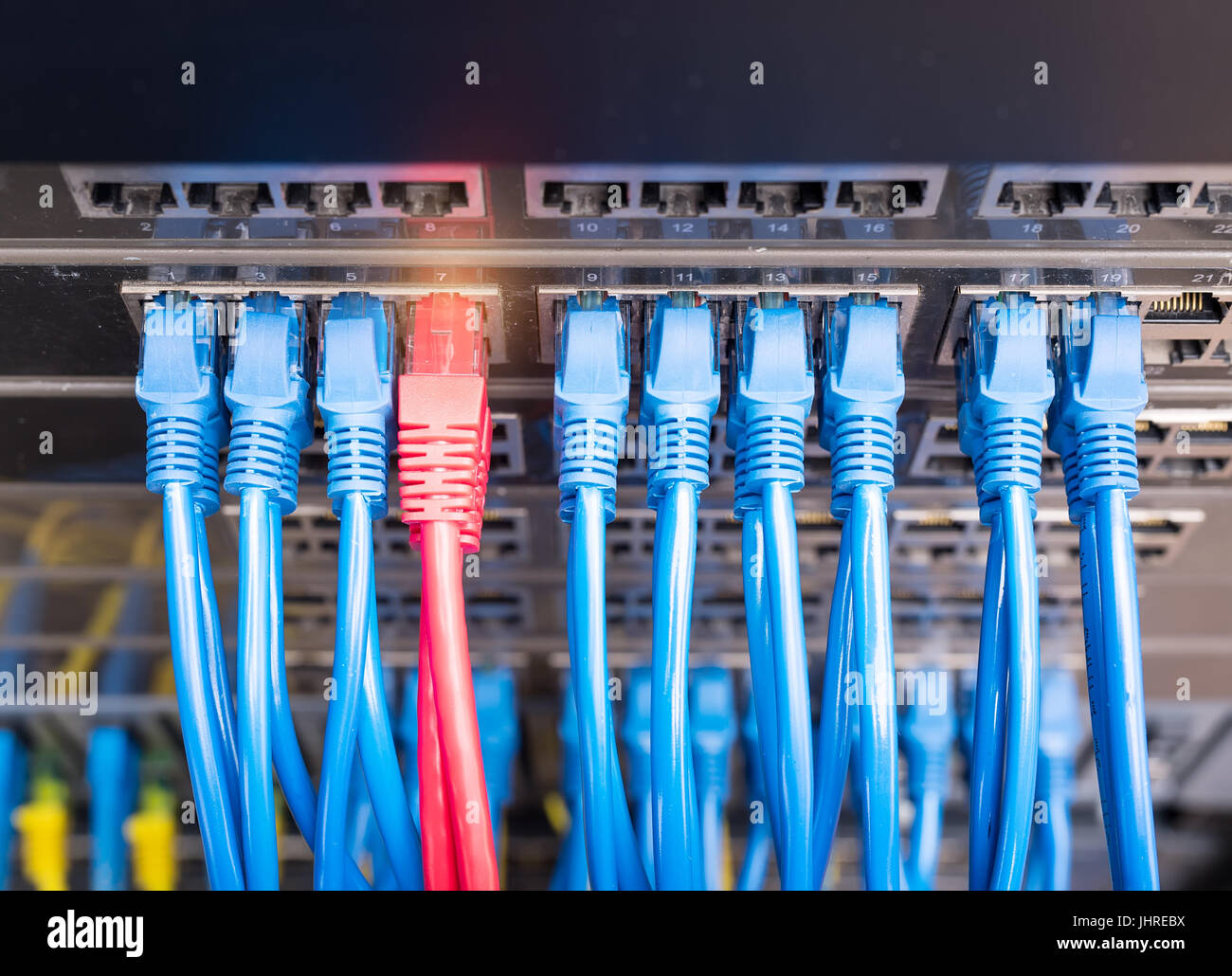 Tecnologia di informazioni di rete di computer, telecomunicazioni cavi Ethernet collegati ad Internet Switch. Foto Stock