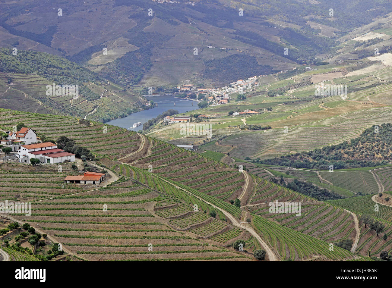 Porta terrazzati vigneti lungo il fiume Douro Portogallo Foto Stock