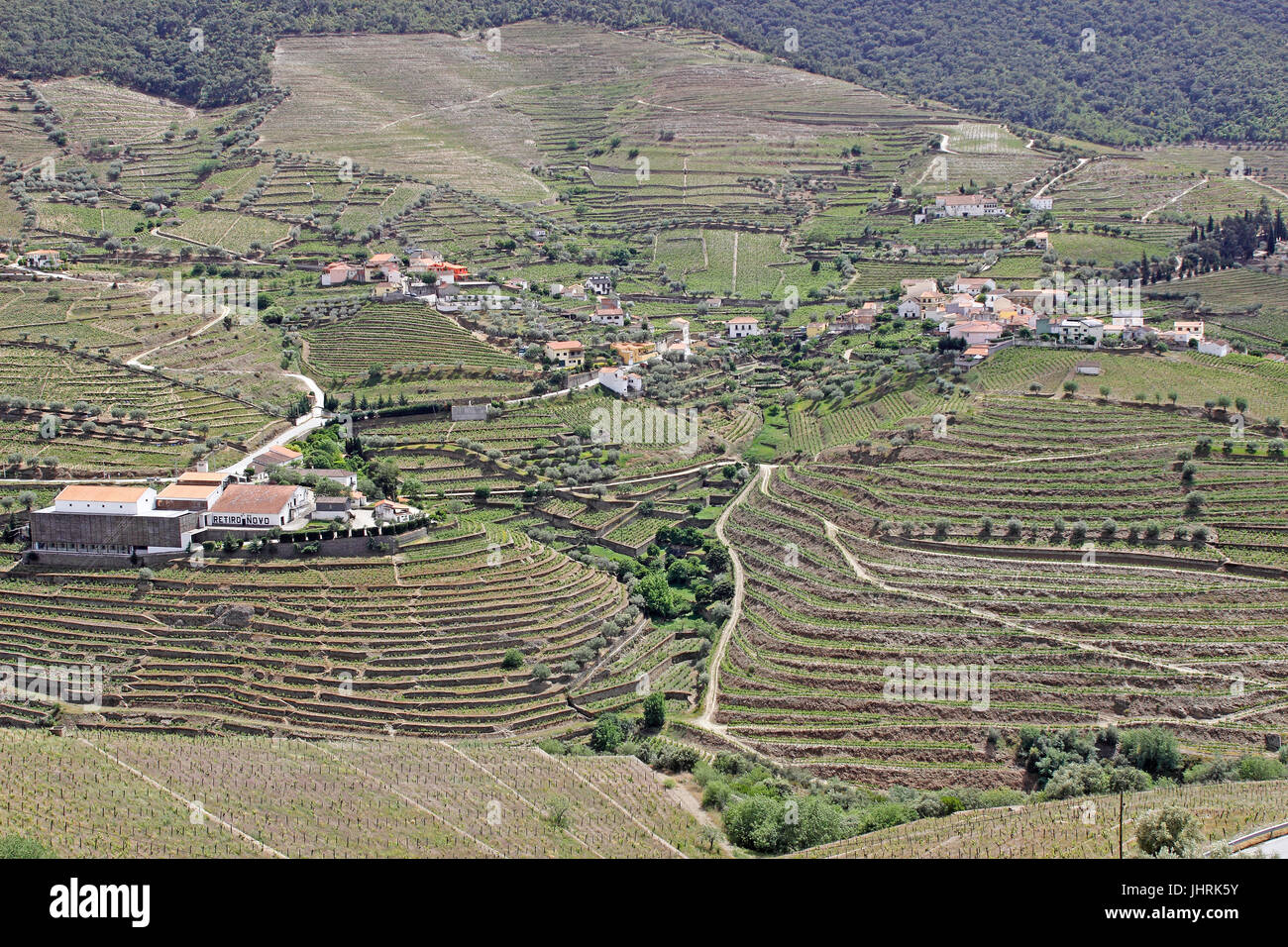 Porta terrazzati vigneti lungo il fiume Douro Portogallo Foto Stock