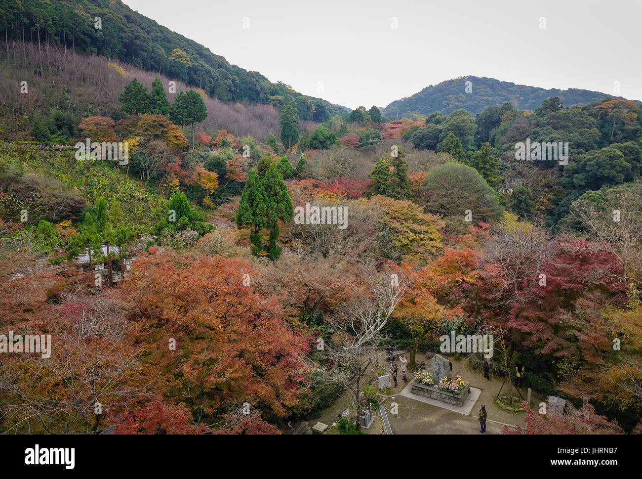 Kyoto, Giappone - Nov 29, 2016. Autunno del giardino di Kiyomizu-dera tempio di Kyoto, Giappone. Kiyomizu fu fondata nel 778 e la sua attuale edifici furono constr Foto Stock