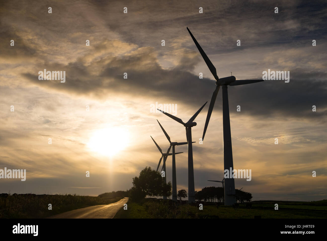 Le turbine eoliche in sunset Foto Stock