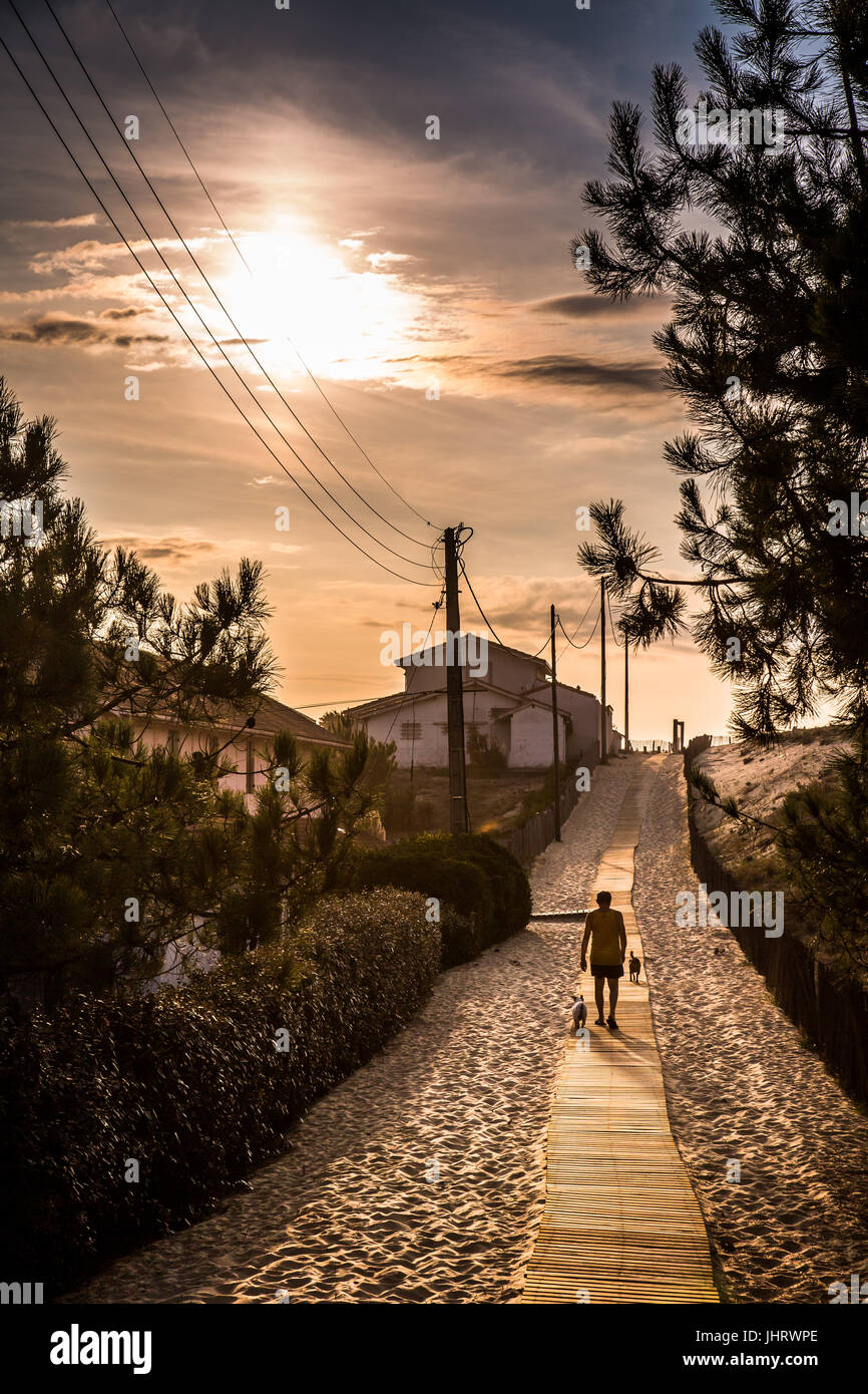 L'uomo cammina il cane su un sentiero di sabbia circondata da case e cespugli vicino alla spiaggia. Lui è la scalata di una collina di sabbia. Foto Stock