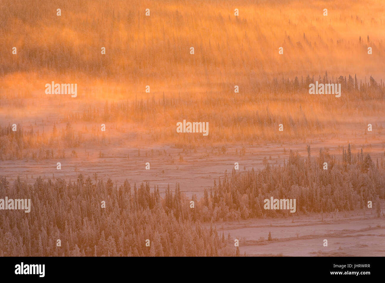 Scenario in luce posteriore, Lapponia svedese, Scandinavia, Landschaft im Gegenlicht, Schwedisch-Lappland, Skandinavien Foto Stock