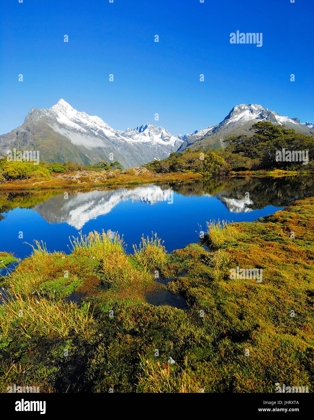 'Chiave Vertice con riflessione di Mt. Christina, fjord paese parco nazionale, Mondo Natura erede a sud ovest della Nuova Zelanda, nella costa occidentale dell'isola del sud Nuova Z Foto Stock