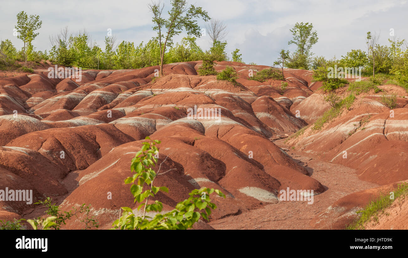 Le Cheltenham Badlands a Caledon in estate, Ontario, Canada, un piccolo esempio di formazione di Badlands. Foto Stock