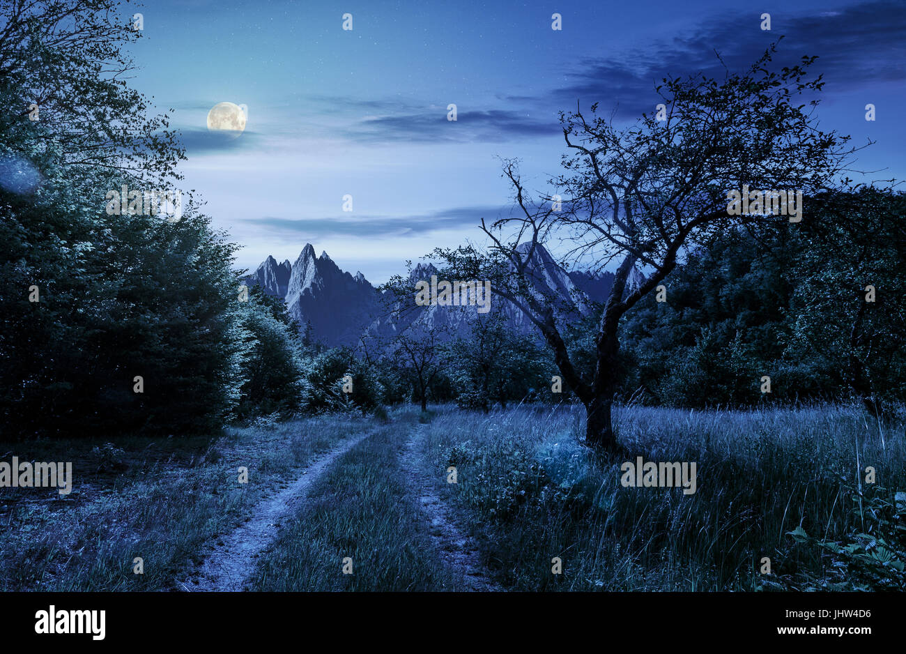 La strada attraverso il frutteto abbandonato in montagna. Immagine composita dei Monti Tatra ridge. bellissimo paesaggio estivo di notte nella luce della luna piena Foto Stock