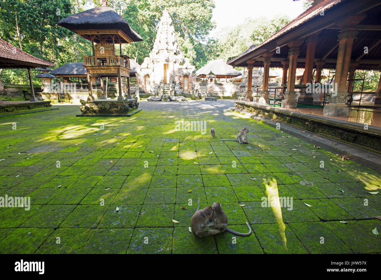 Tempio indù, Pura Dalem Agung, Monkey Forest, Ubud, Bali, Indonesia Foto Stock