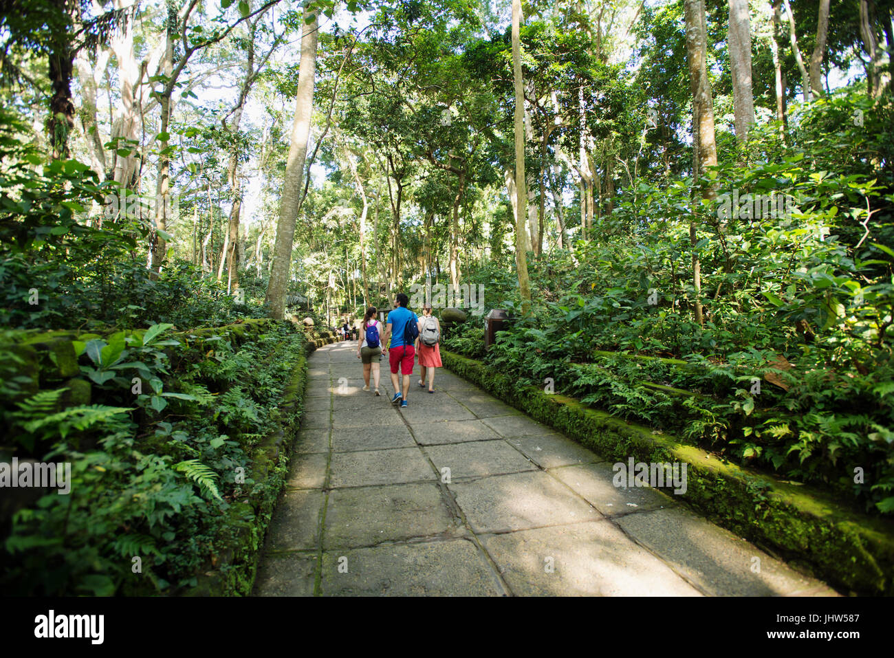 Tempio indù, Pura Dalem Agung, Monkey Forest, Ubud, Bali, Indonesia Foto Stock