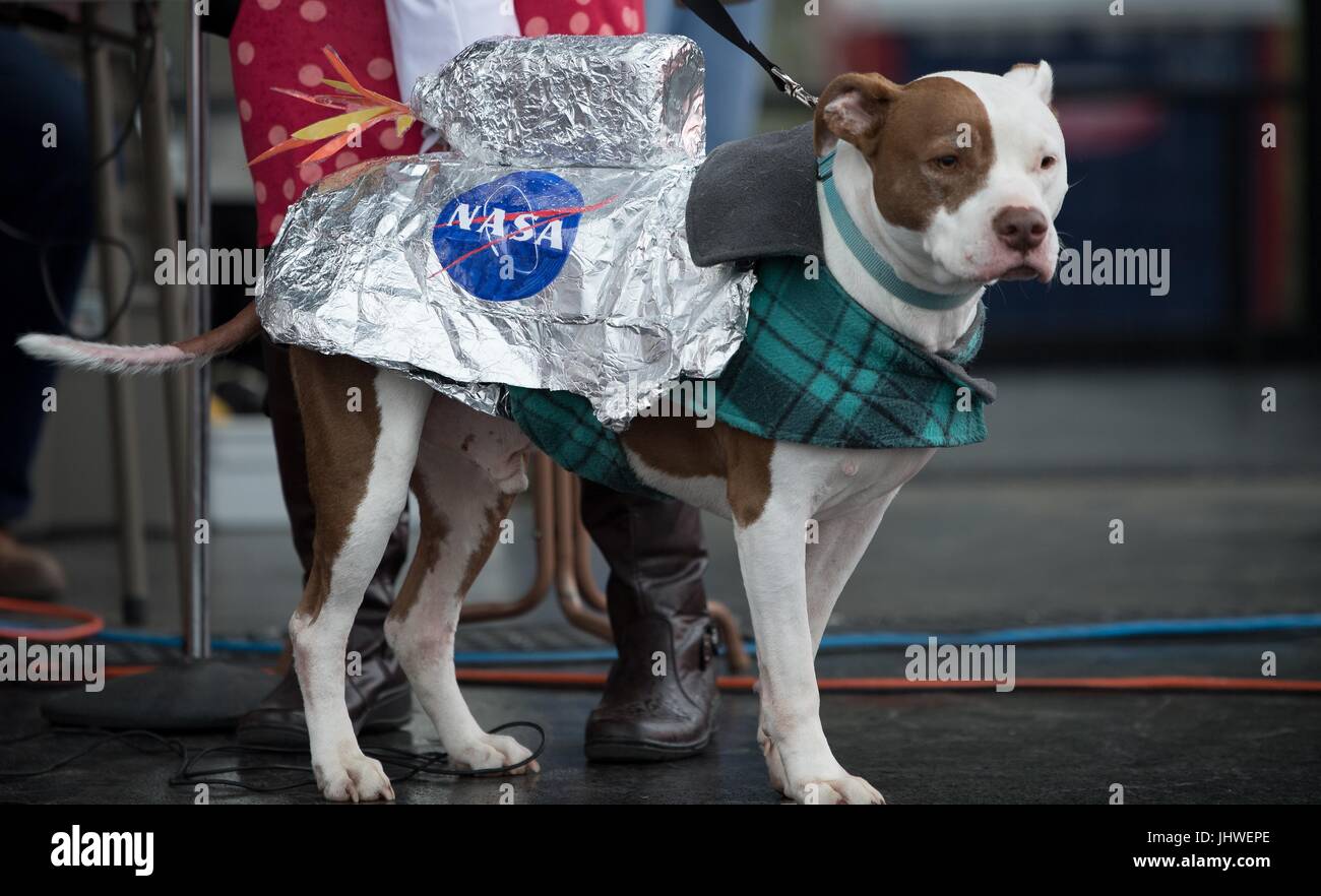 Un cane vestito come un veicolo spaziale partecipa a un concorso in costume durante la NASA Marte nuovo anno celebrazione Maggio 5, 2017 in Mars, Pennsylvania. (Foto di Bill Ingals via Planetpix) Foto Stock