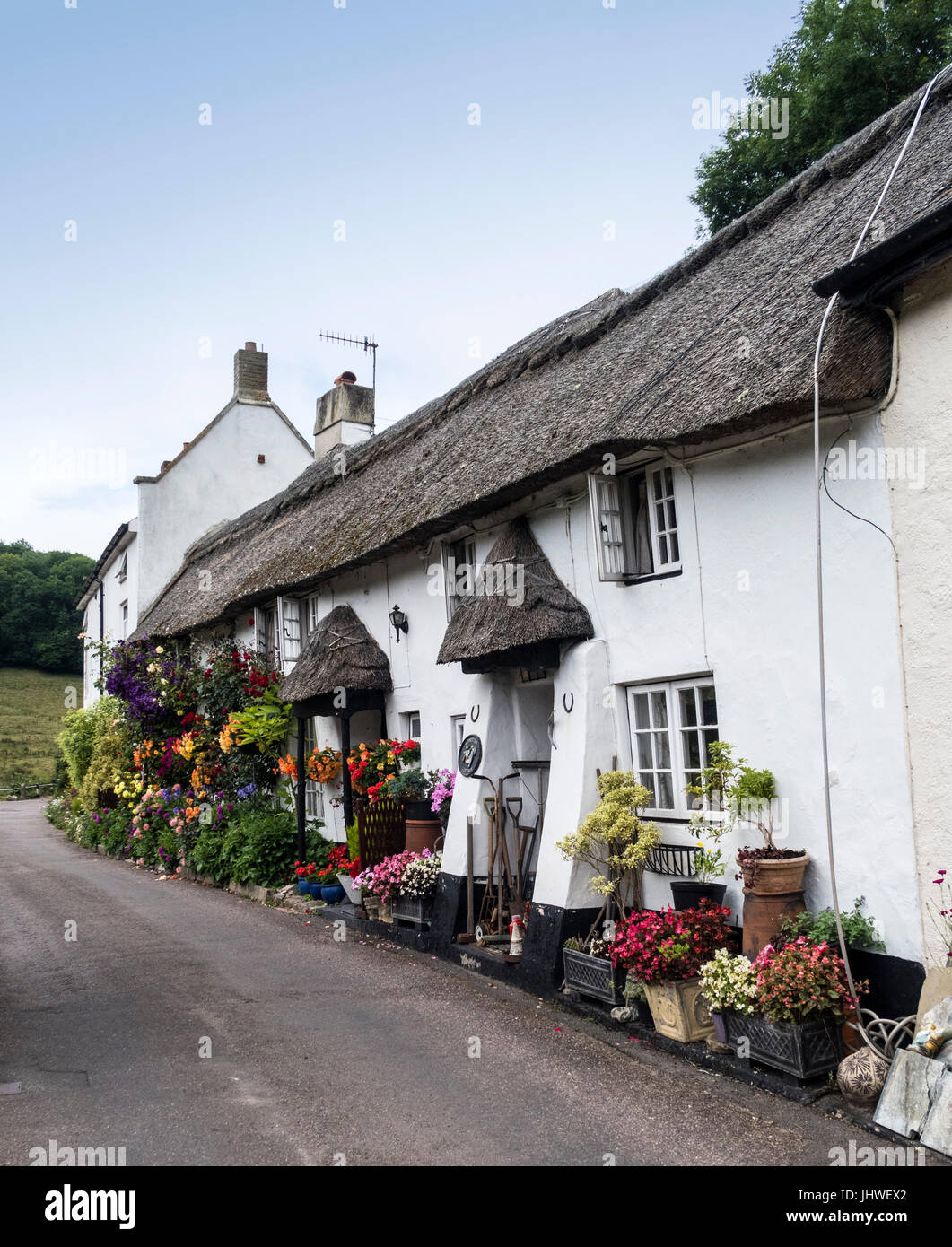 Composizioni floreali al di fuori di Coombe Cottage e Doreen's Garden in Branscombe, Devon. Foto Stock