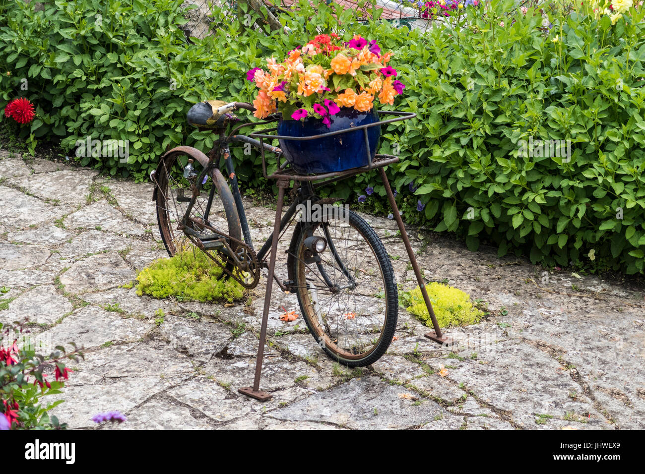 Un vecchio arrugginito bicicletta usata come un fiore contenitore, pentola floreale, display floreali. Foto Stock