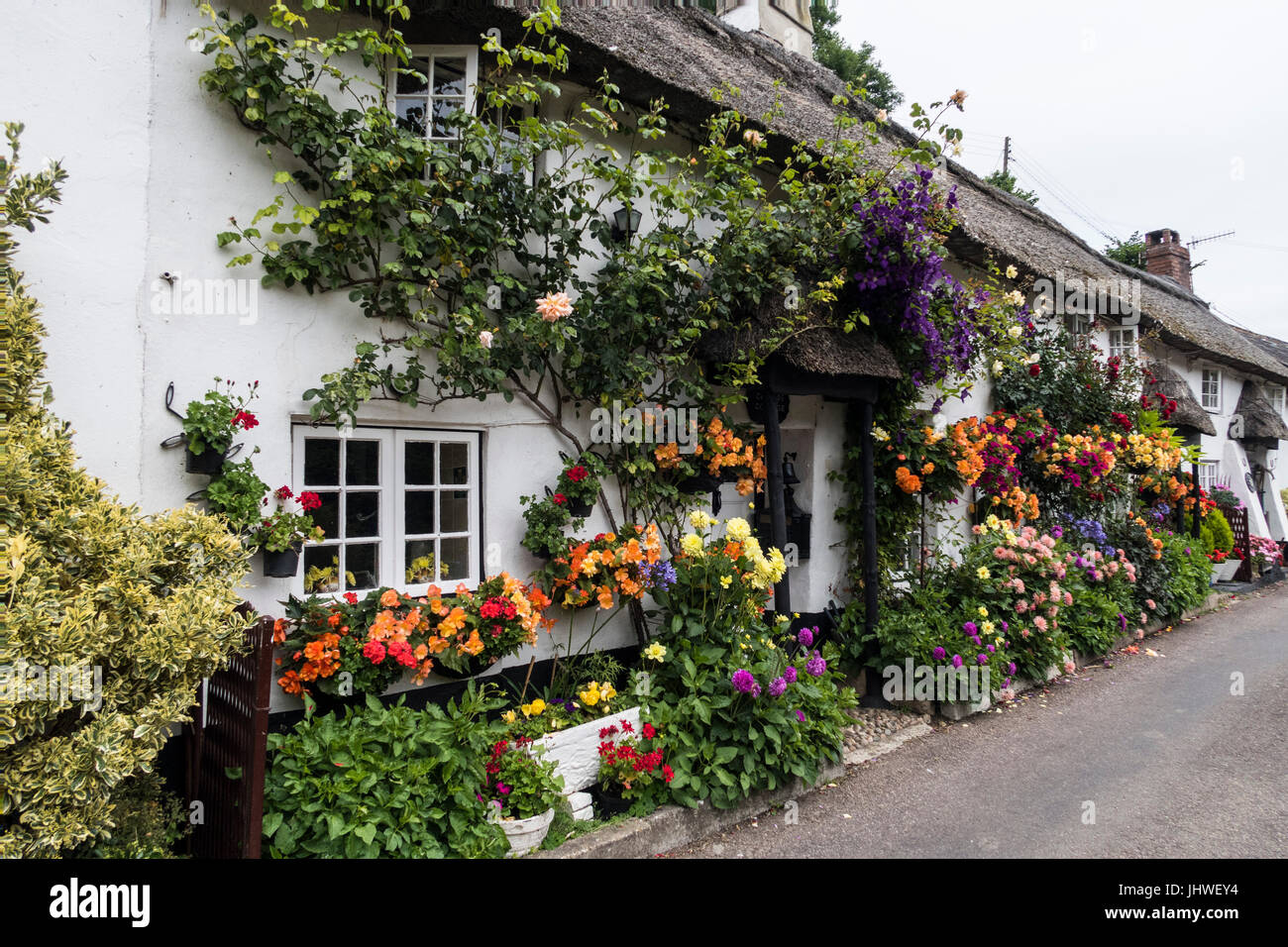 Composizioni floreali al di fuori di Coombe Cottage e Doreen's Garden in Branscombe, Devon. Foto Stock