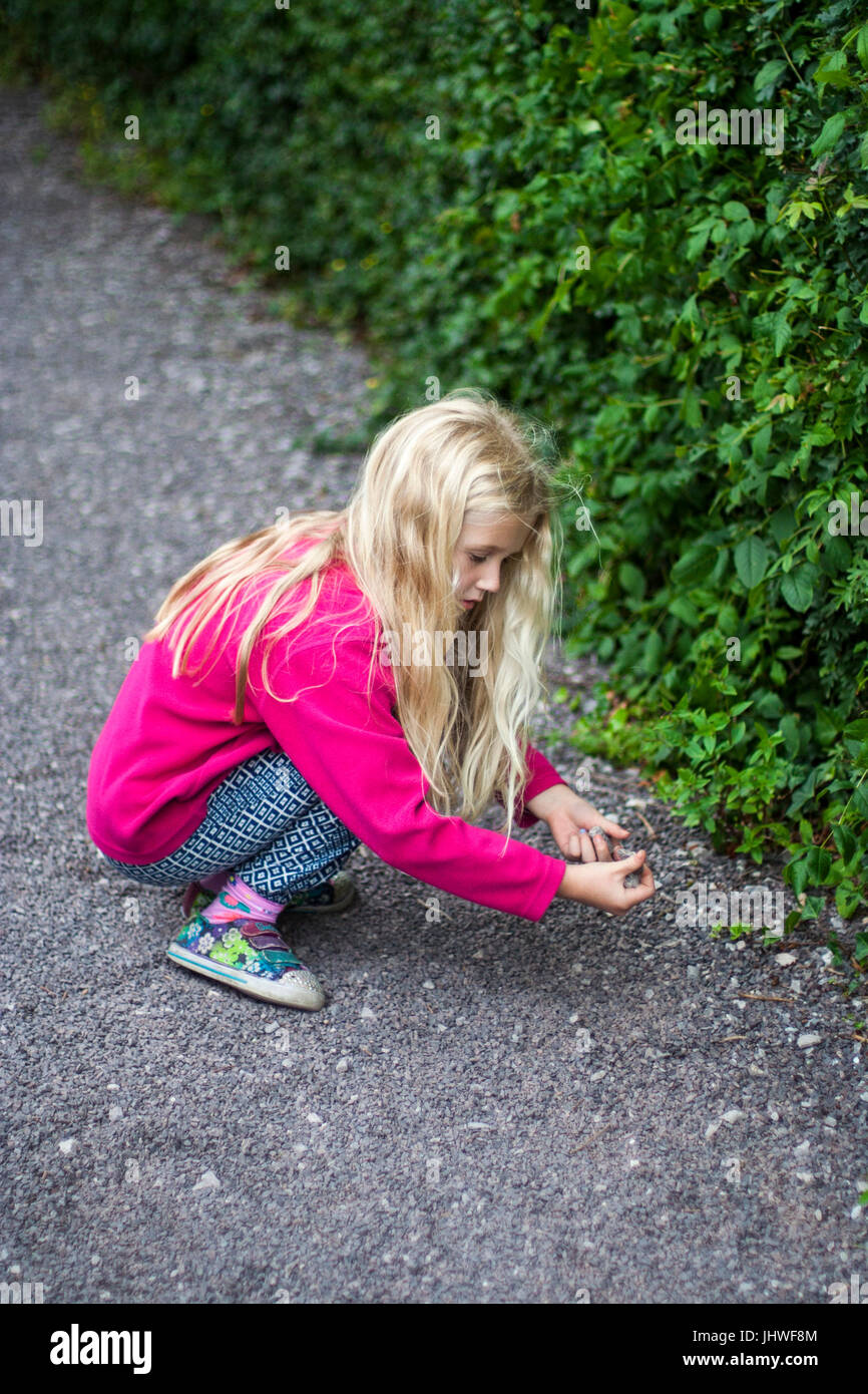 Ragazza a raccogliere pietre e studiandoli kids esplorare, infanzia. parenting Foto Stock