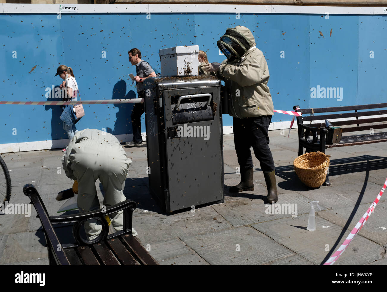 Gli apicoltori rimozione alveare da immondizia può a Bath, Inghilterra Foto Stock