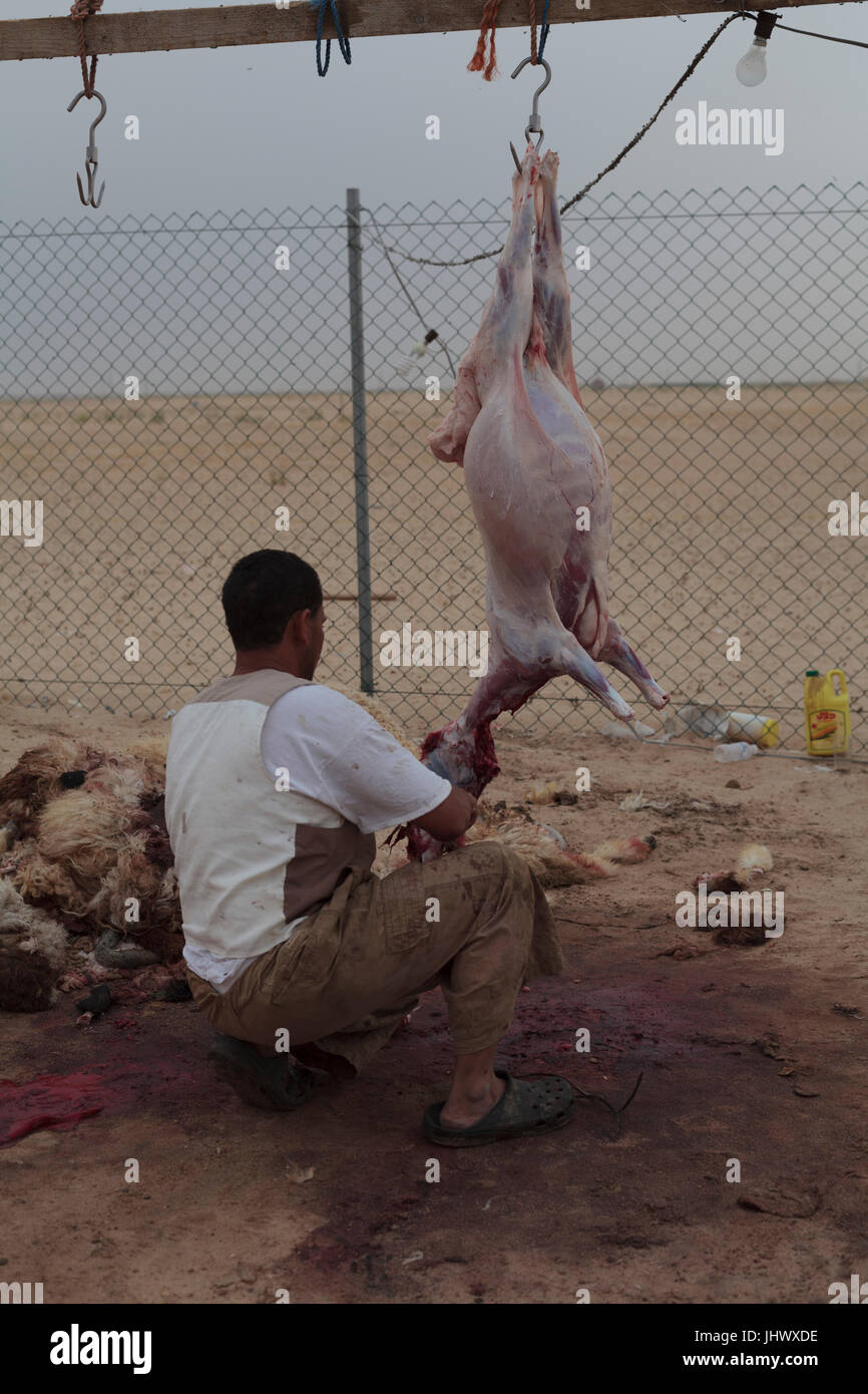 Halal macellaio di macellazione e di macellazione di una capra nel deserto in Kuwait Foto Stock
