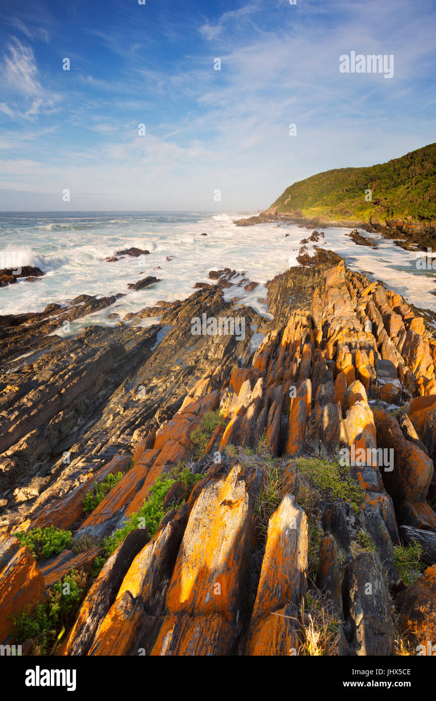 La costa rocciosa della sezione Tsitsikamma della Garden Route National Park, Sud Africa. Foto Stock