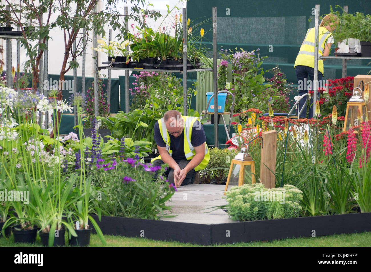 Tatton Park, Cheshire, Regno Unito. 17 luglio 2017. Regno Unito Meteo: costruire giorno per gli espositori del 2017 Tatton Park RHS flower show. Credito: Simon Maycock/Alamy Live News Foto Stock