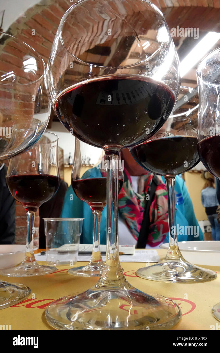 Degustazione di vino tour, Pienza, Italia Foto Stock