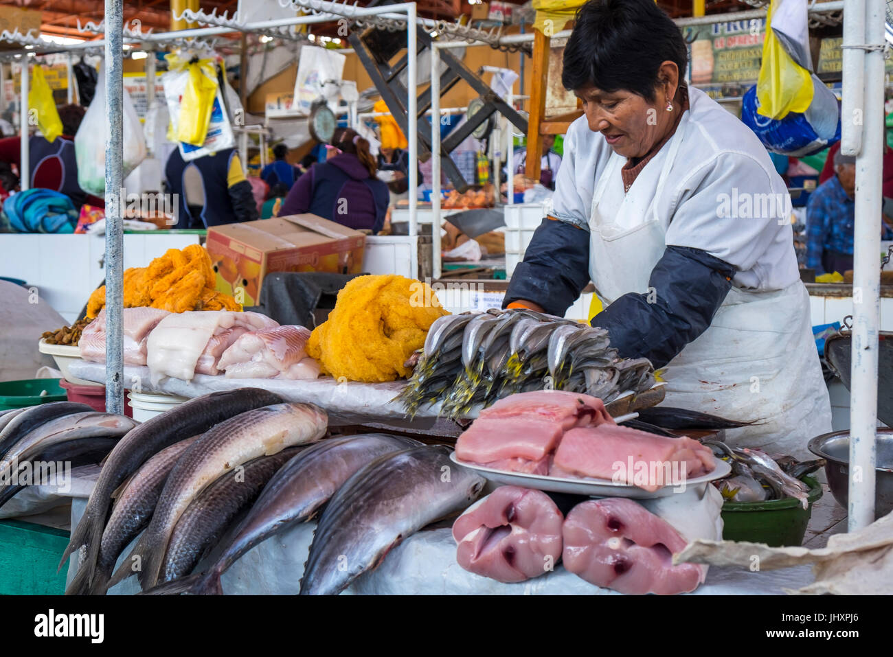 AREQUIPA, Perù - circa aprile 2014: Pesce venditore al San Camilo mercato in Arequipa. Arequipa è la seconda città del Perù per popolazione con 861,145 in Foto Stock