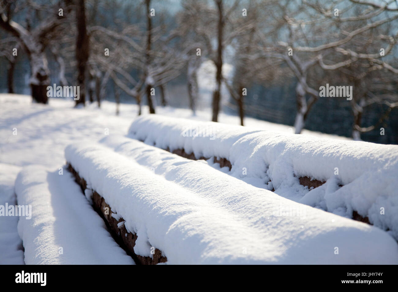 Tronchi abbattuti in inverno - Albero della bevanda in inverno, Gefällte Baumstämme im inverno - tronchi di alberi in inverno Foto Stock