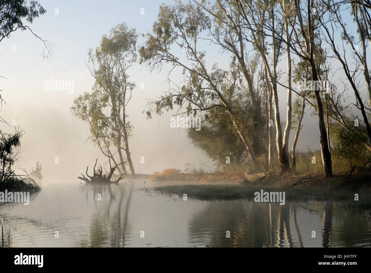 La mattina presto sul fiume Murray vicino a Mildura Foto Stock