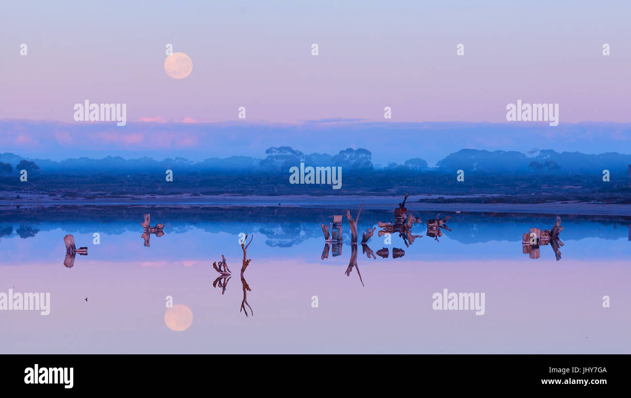 Nebbia mattutina e una impostazione luna piena sopra Lambert's Swamp. Merbein West, Victoria, Australia. Foto Stock