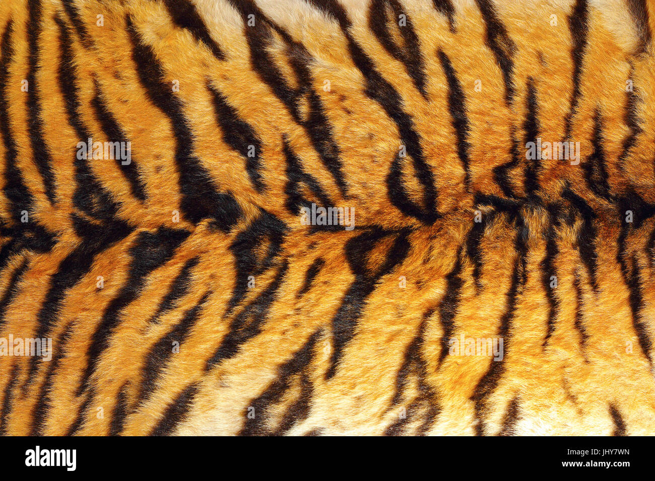 Dettaglio delle strisce di Tiger su animali selvatici del cuoio, consistenza naturale di pellicce Foto Stock