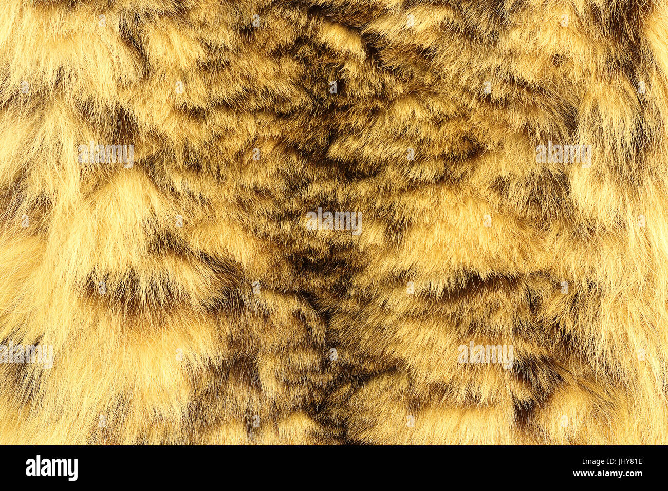 Snow Leopard textured pelt, vera pelle animale ( Panthera uncia ) Foto Stock