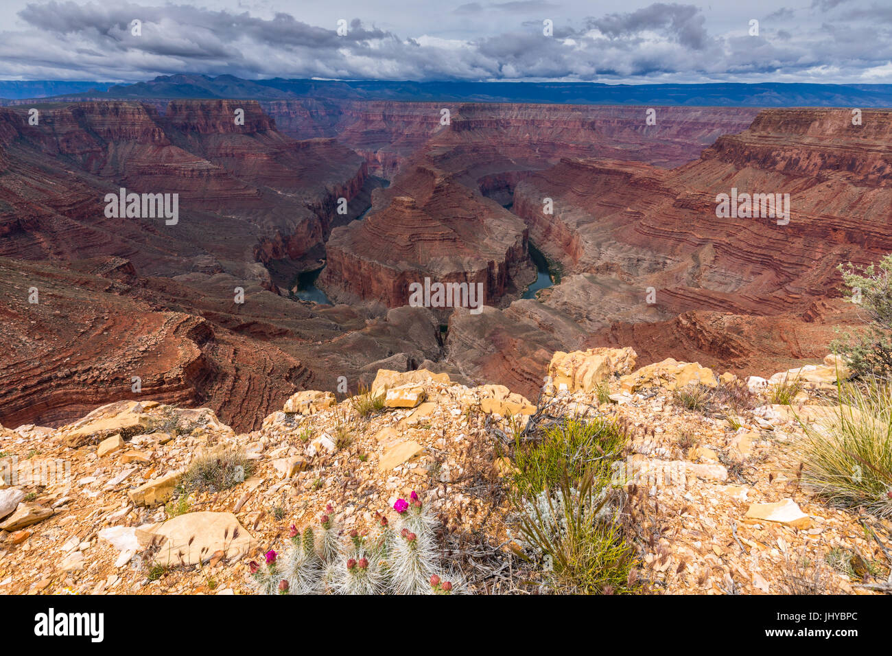 Punto Tatahatso, con vista sul fiume Colorado, Northern Arizona, Stati Uniti d'America Foto Stock