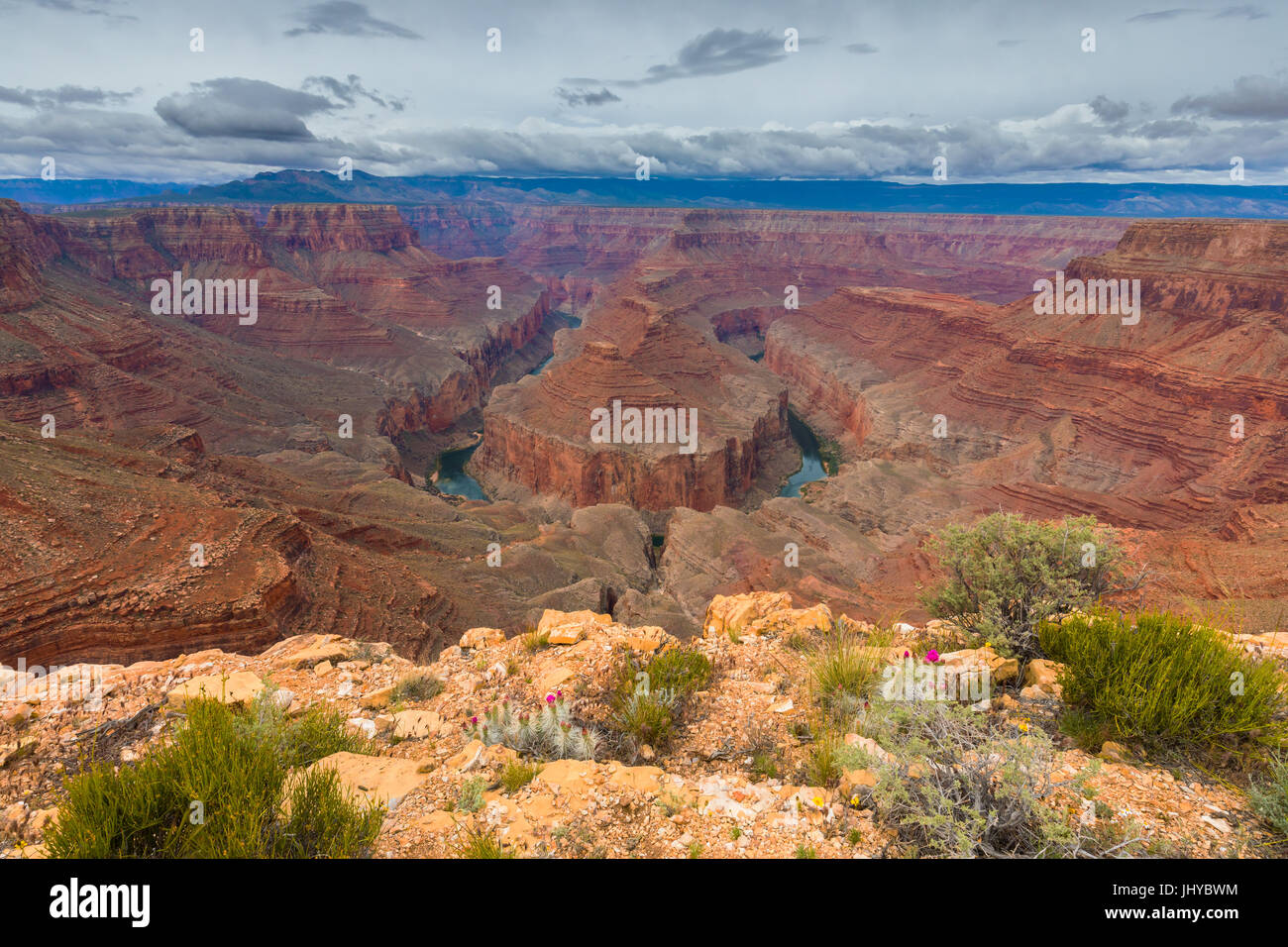 Punto Tatahatso, con vista sul fiume Colorado, Northern Arizona, Stati Uniti d'America Foto Stock