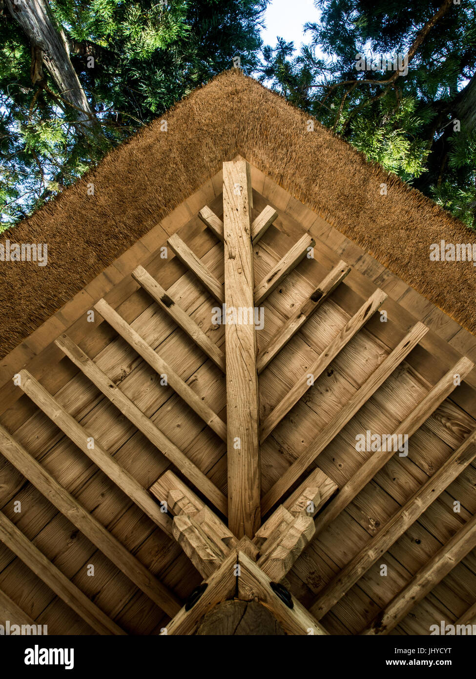 Tetto di Paglia, il cornicione in corrispondenza di un angolo del tempio, Hiraizumi, Iwate, Giappone Foto Stock