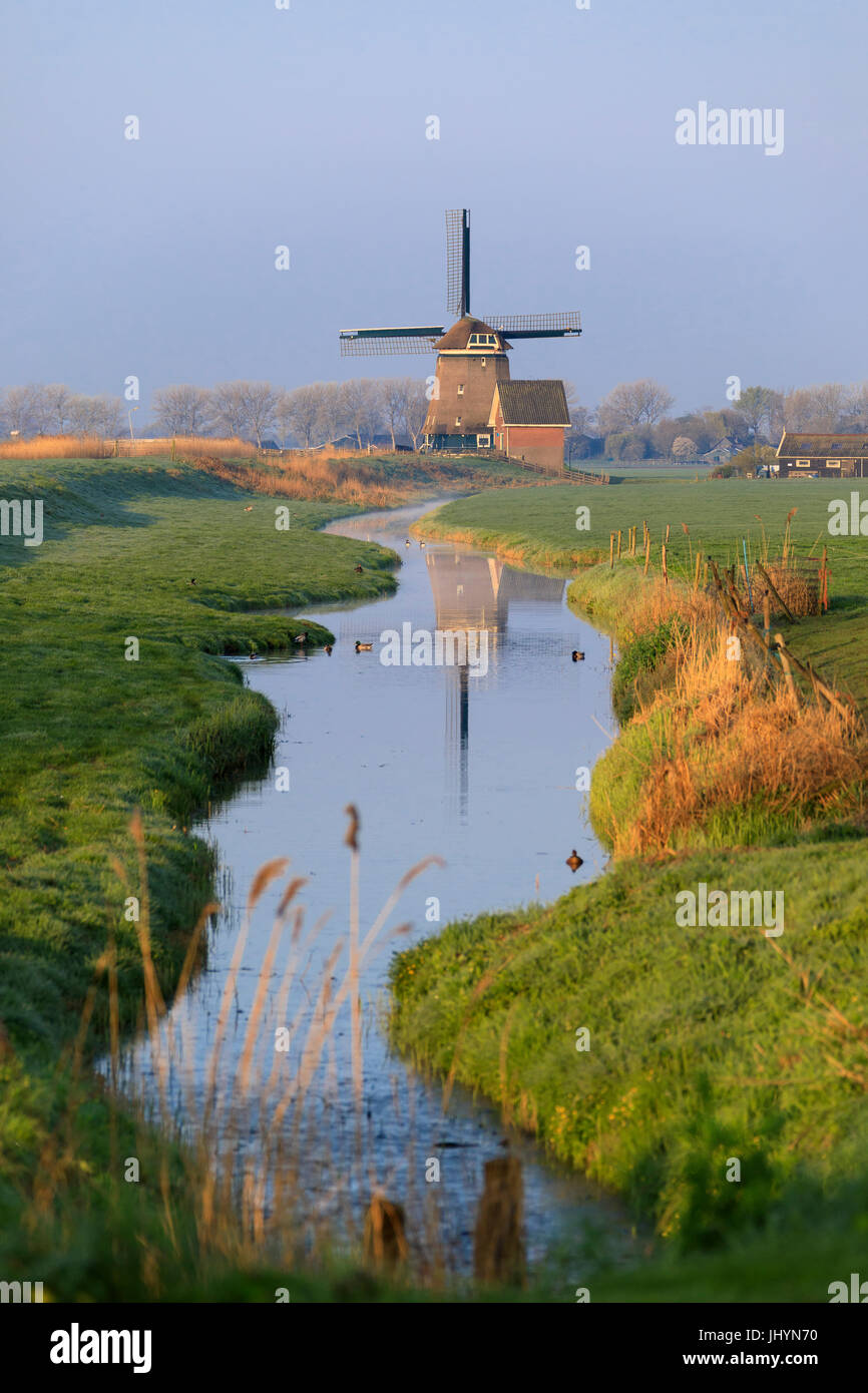 Il mulino a vento di tipico riflesso nel canale ad Alba, Berkmeer, comune di Koggenland, North Holland, Paesi Bassi, Europa Foto Stock