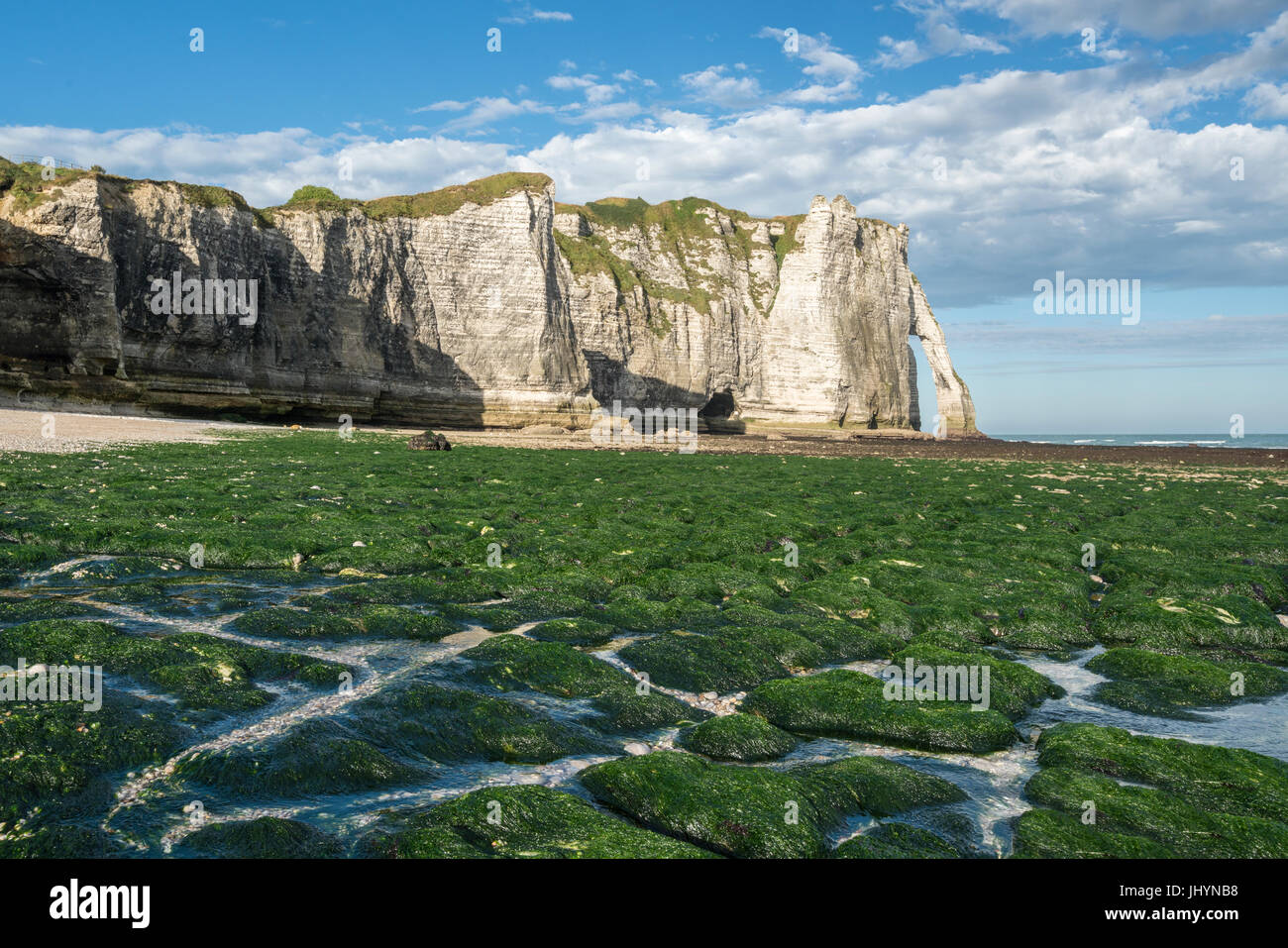 Porte d'Aval con la bassa marea e le alghe sulla spiaggia, Etretat, in Normandia, Francia, Europa Foto Stock
