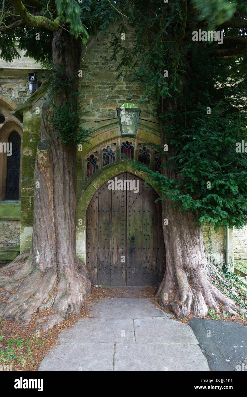 Yew alberi e porta San Edward's chiesa, Stow-su-il-Wold, Cotswolds, Gloucestershire, England, Regno Unito, Europa Foto Stock