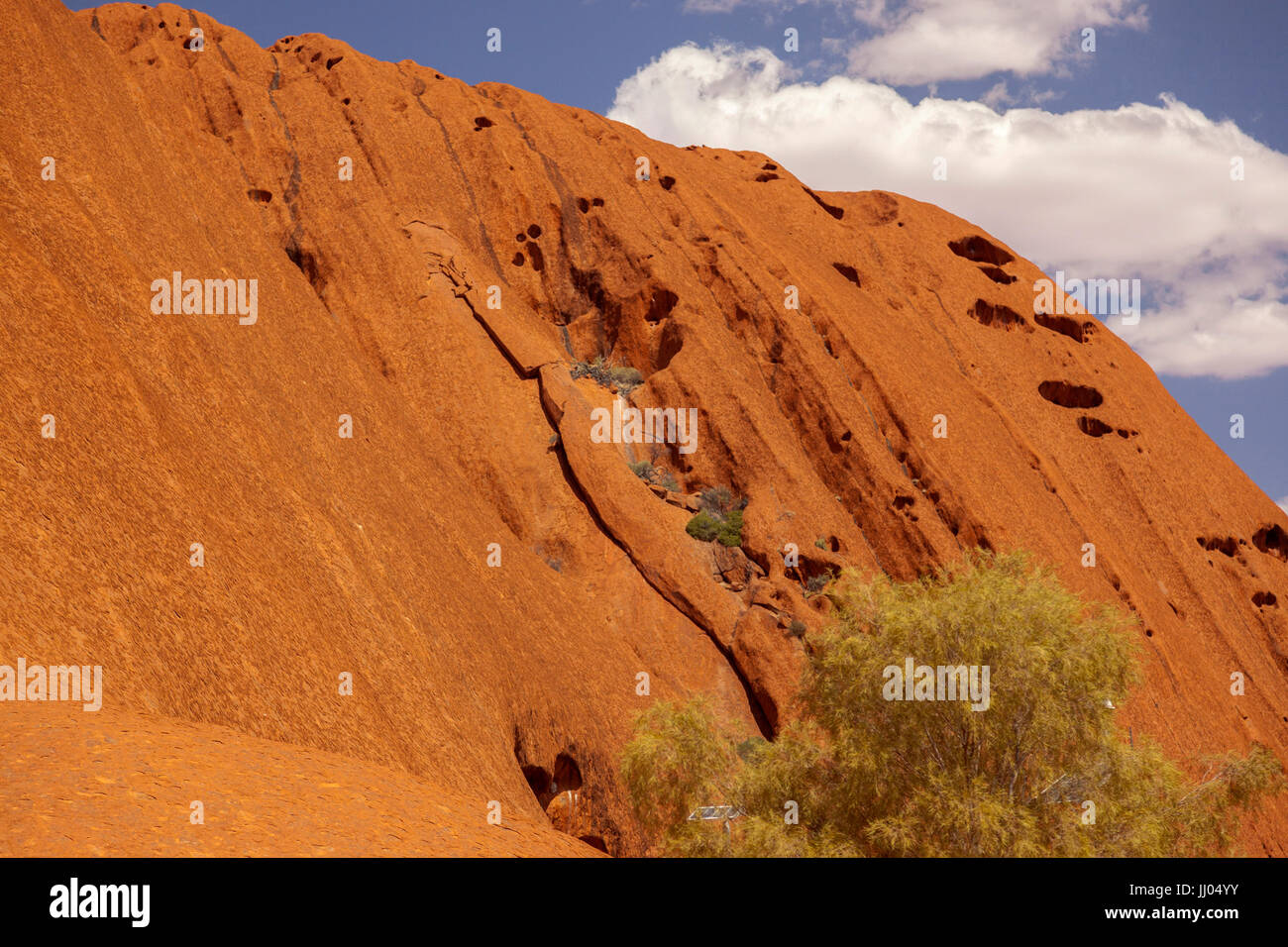 Uluru (Ayers Rock), close up viste le differenti zone di Uluru, rock gardens, fori per l'acqua, sentieri, grotte di roccia, acqua caduta sentieri, vegetazione ho Foto Stock